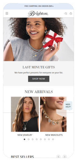 Responsive Shopify store design for selling products online