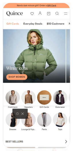 Example of a stylish Shopify online store homepage